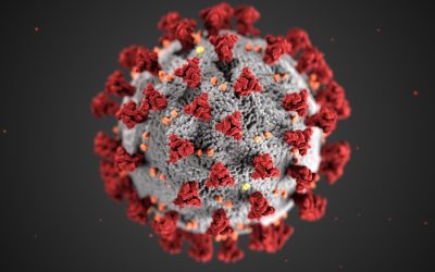 Dopis v zvezi z zajezitvijo in obvladovanjem epidemije covid-19